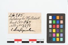 Etikett zu Bernsteinringperle (NHMW-PRAE-026285)